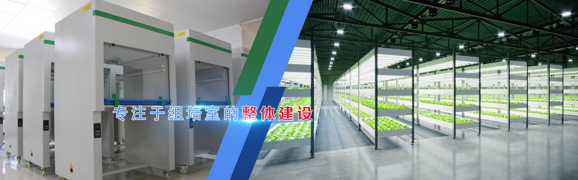 組培、組培架