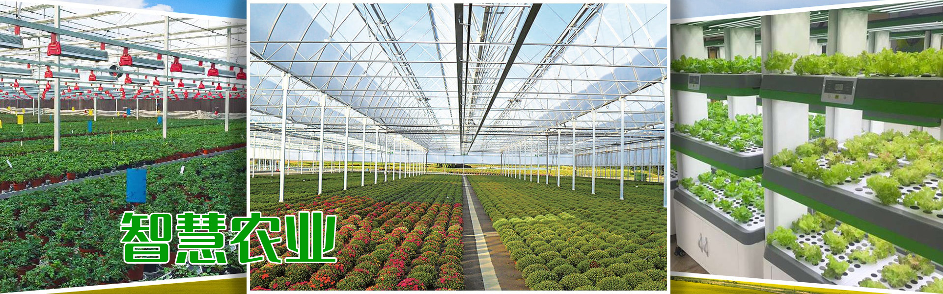 組培、組培架